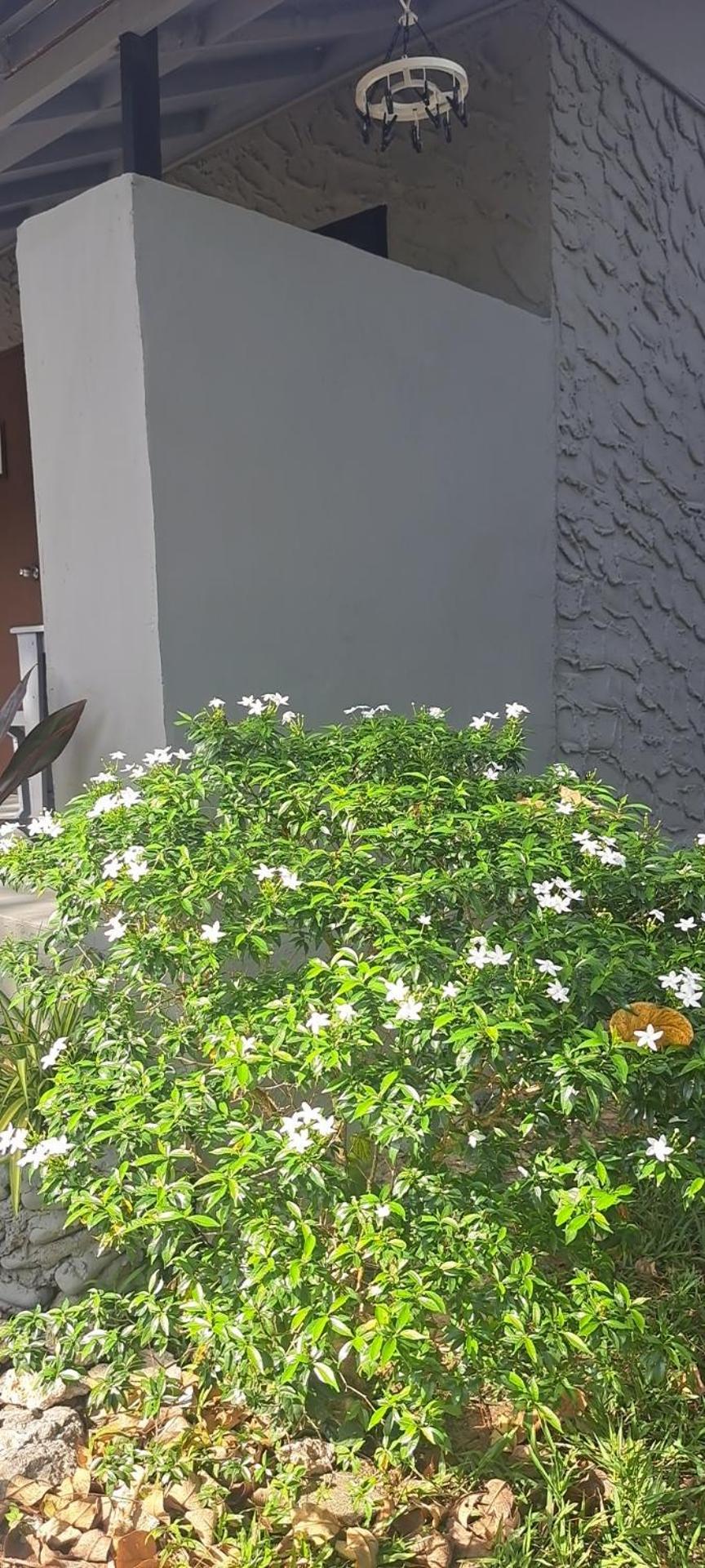 Siam Flora Resort Ko Lanta Esterno foto