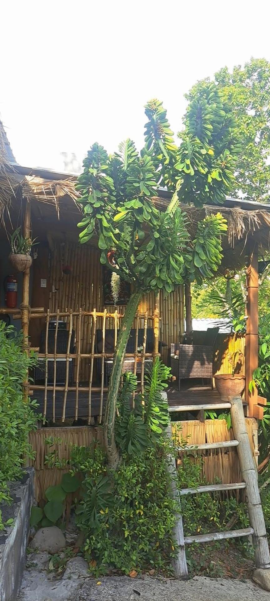 Siam Flora Resort Ko Lanta Camera foto